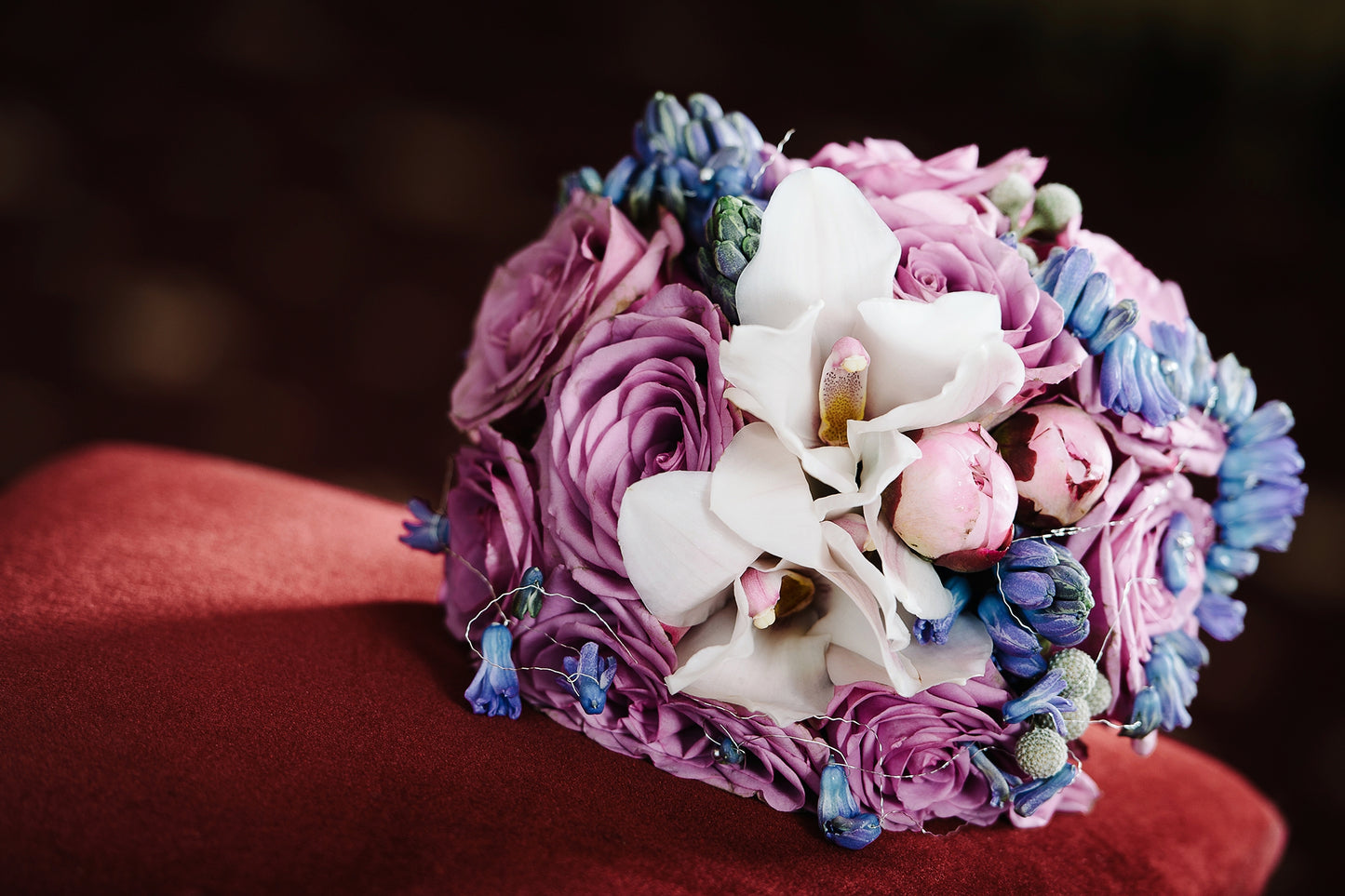 orchideja jaunosios puokste