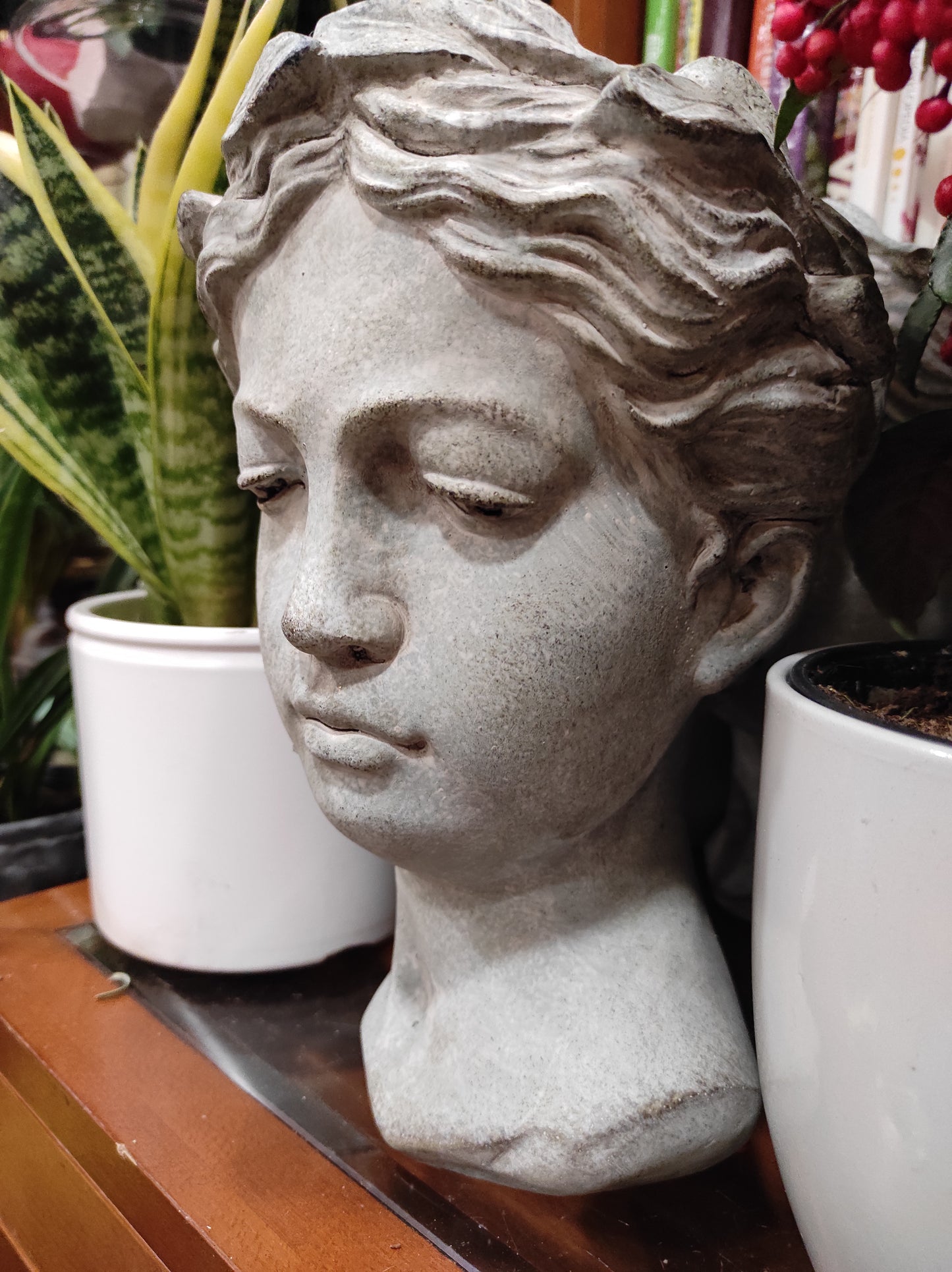 Galvos formos vazonas - Gėlių pristatymas. Inesa Borkovska