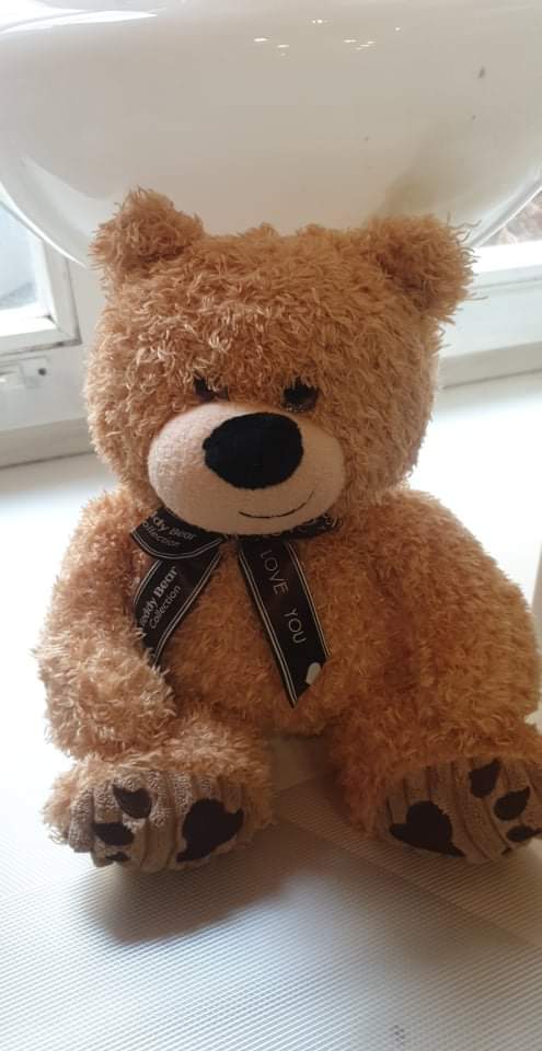 Pliušinis meškiukas - Gėlių pristatymas. Inesa Borkovska