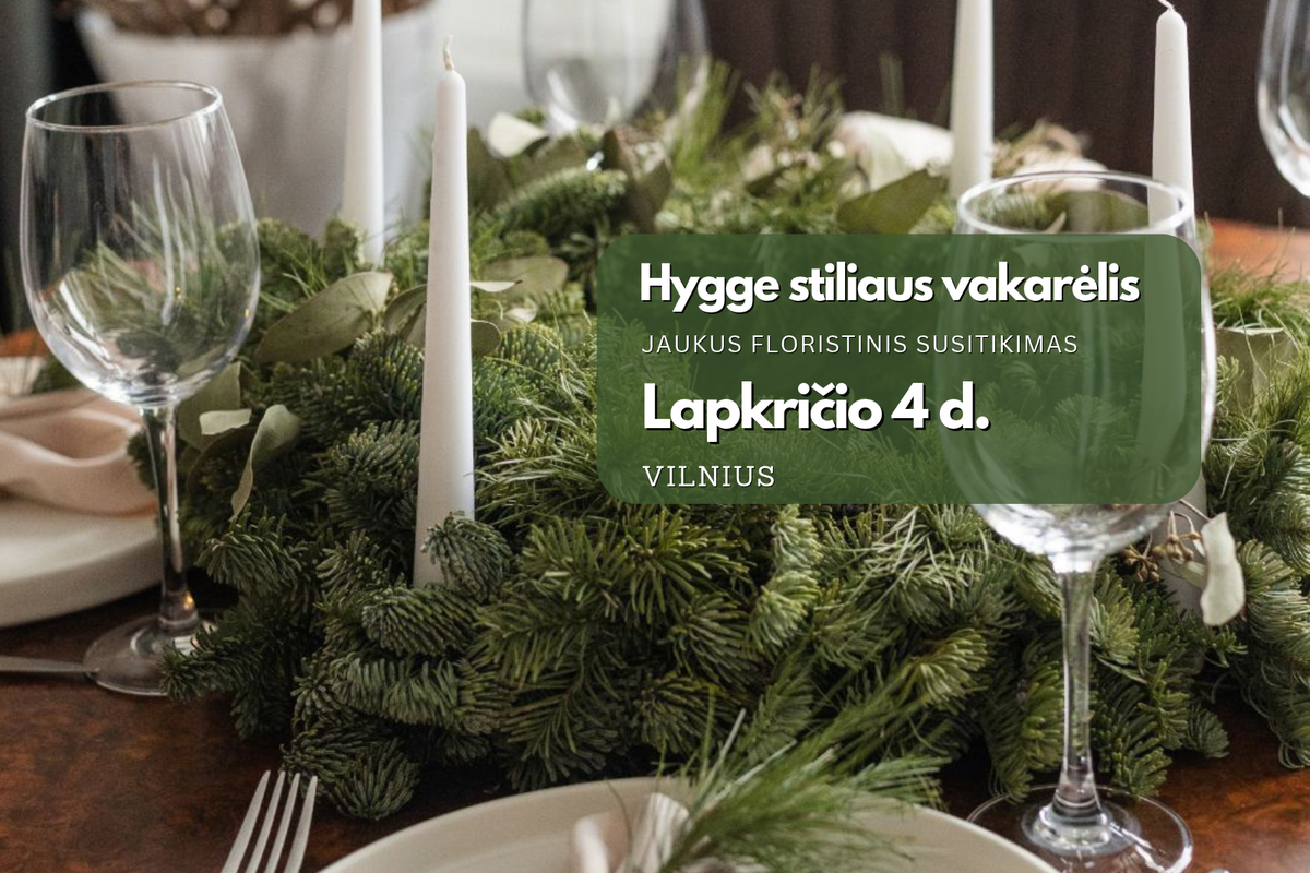 Hygge stiliaus vakarėlis - Lapkričio 4 d.