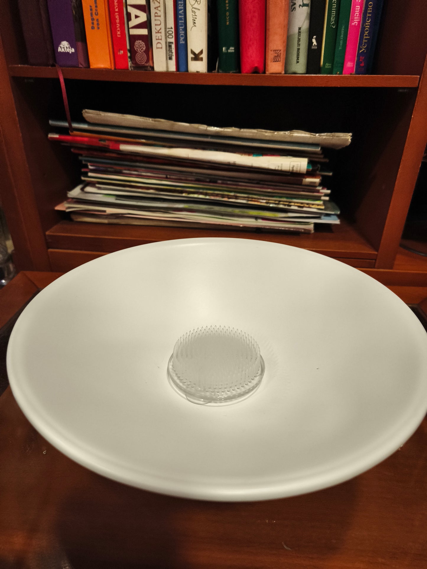 Plastikinis kenzanas