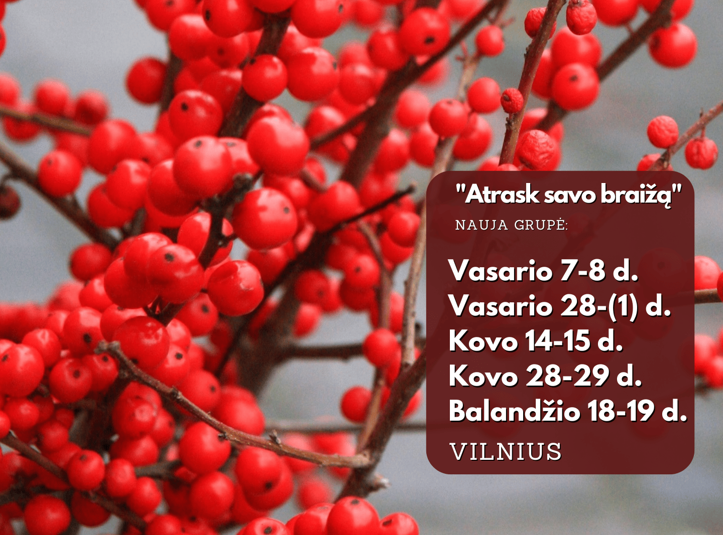 Курсы флористики в Вильнюсе «Открой свой стиль»