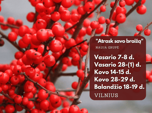 Курсы флористики в Вильнюсе «Открой свой стиль»